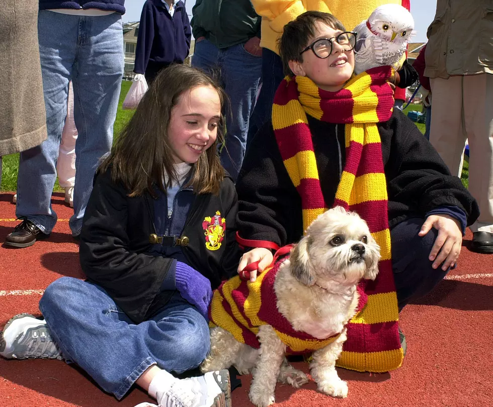 Harry Potter Pet Walk, Costume Contest and Birthday Party Happening July 29 in Fort Collins