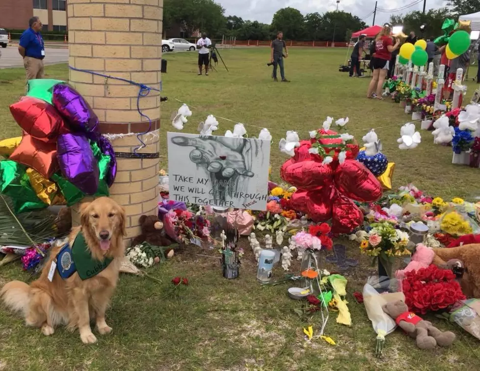 Fort Collins Comfort Dog Travels to Texas to Help in Wake of School Shooting