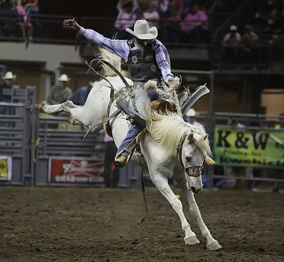 The Larimer County Fair PRCA Rodeo Is Cancelled