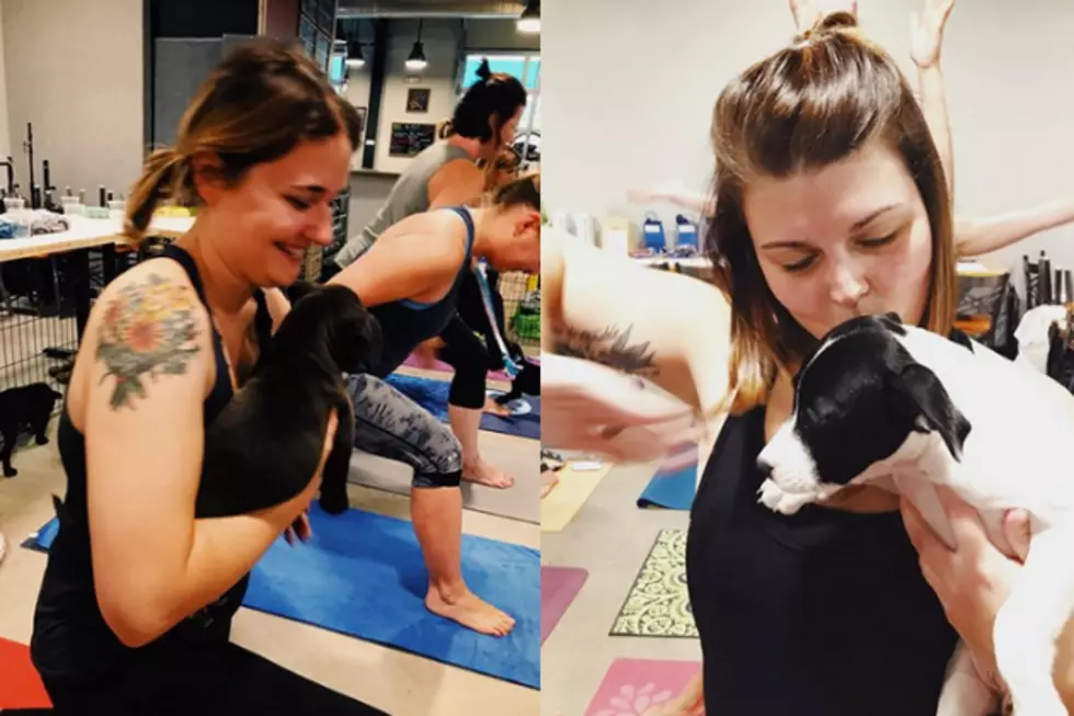 Yoga + Beer + Puppies: A Dream Come True This Weekend