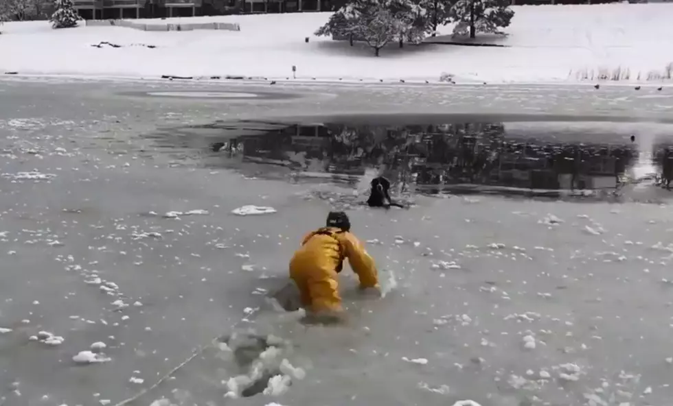 Your Colorado Hero of the Day: Firefighter Saves Dog in Frozen Pond