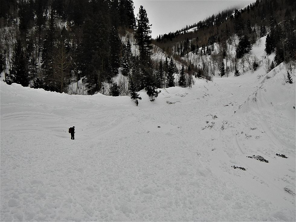 Historic Avalanche Warnings Cover Colorado Mountains