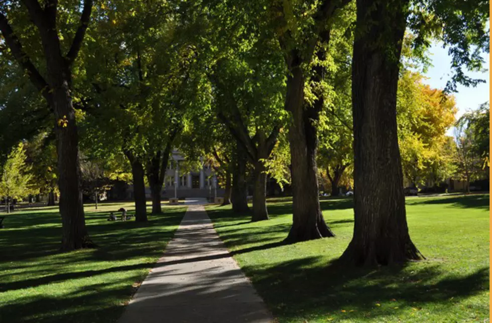 Colorado State University Celebrates Earth Day by Planting 150 Trees