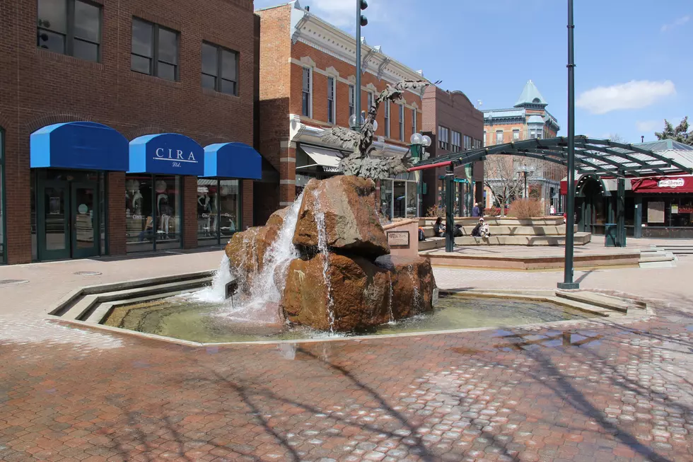 What’s Up With the Sculptures in Old Town Fort Collins?