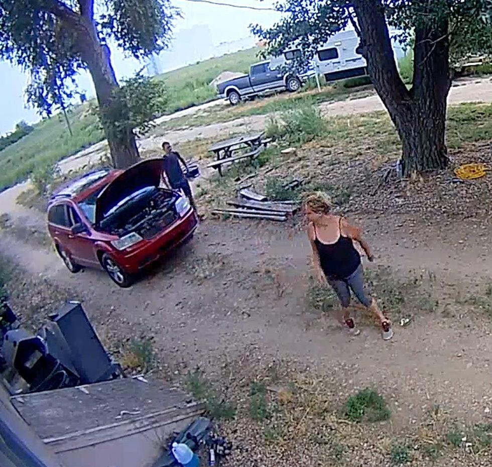 Can You Identify These Weld County Thieves?