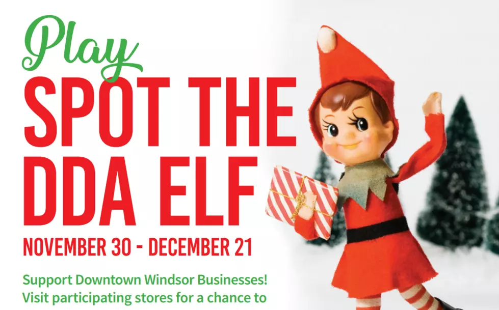 Windsor's 3rd Annual Elf Hunt 