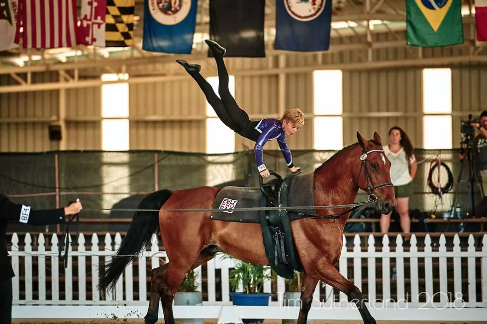 Watch People Do Gymnastics on a Horse for a Good Cause on February 22