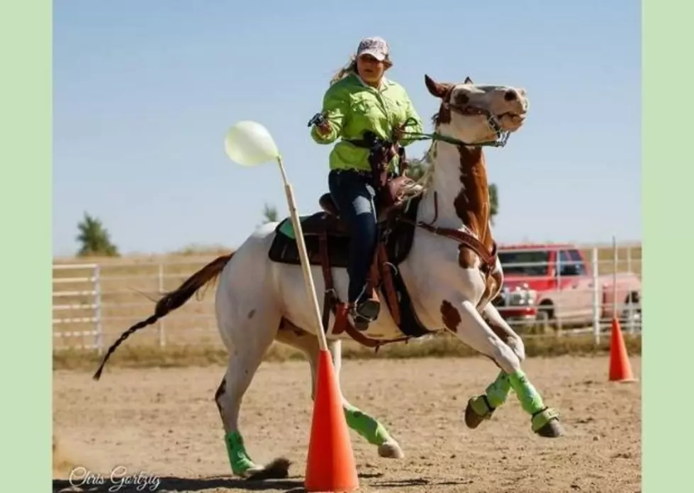 Girl’s Prize-Winning Horse Shot and Killed in Colorado