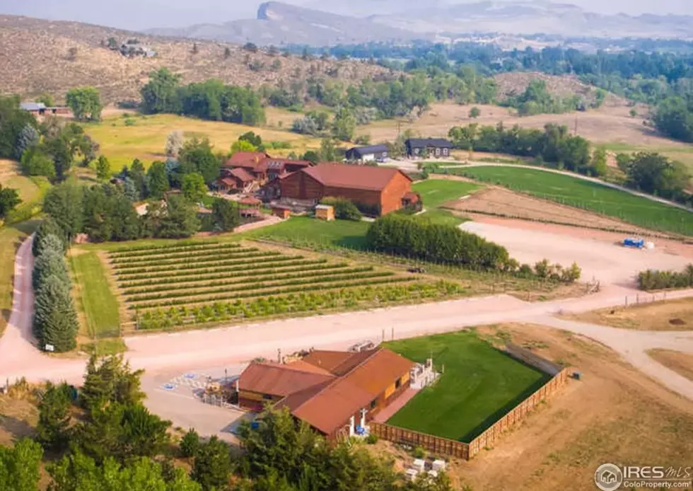 Epic $3 Million Fort Collins Home Has Its Own Winery [PHOTOS]