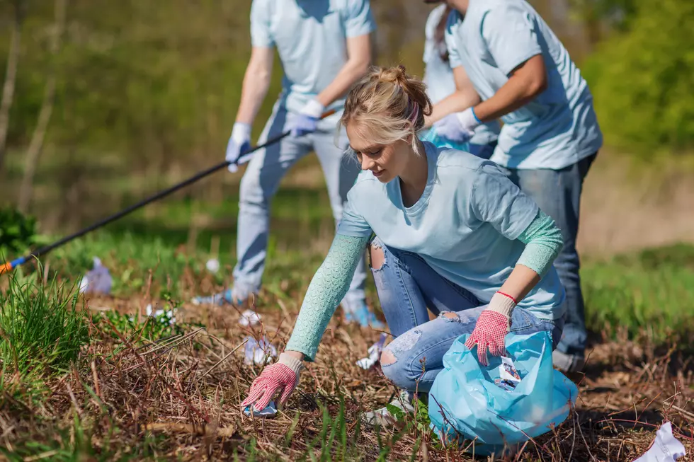 Make a Difference This Month With the United Way of Larimer County