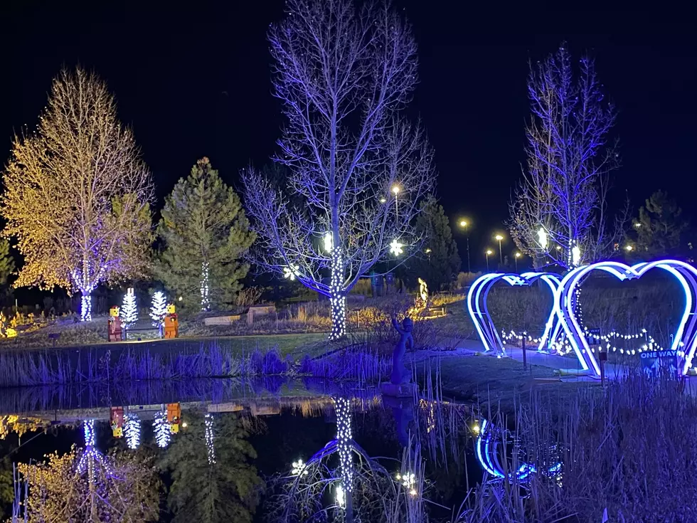 The Holidays in Loveland: Winter Wonderlights, The Ice Rink, and More