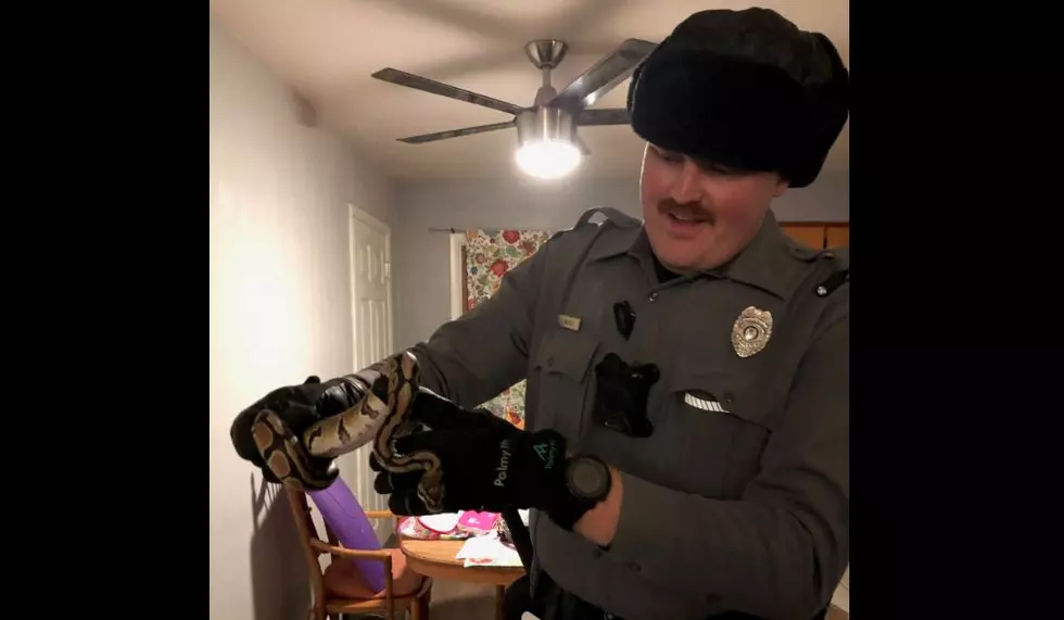 Greeley Police Help Remove Snake That Slithered Into Home