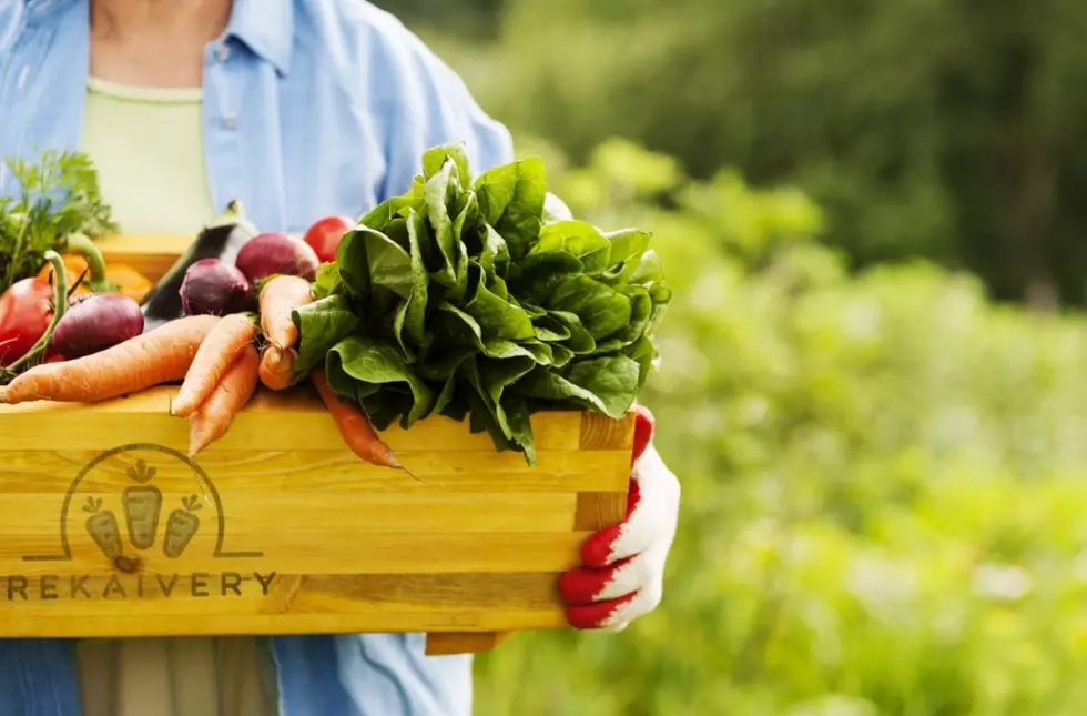 How ReKaivery Is Closing the Gaps Within Our Local Food Networks