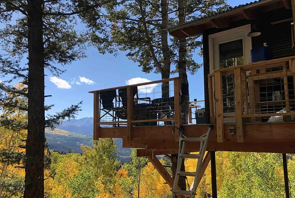Stay High: Go Glamping in This Colorado Tree House