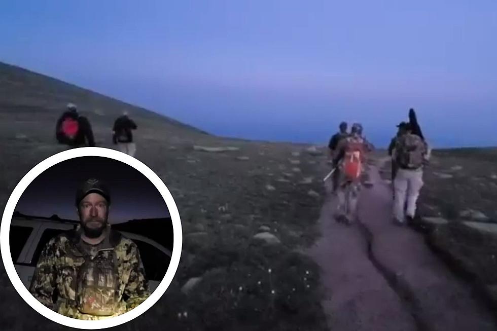 Colorado Parks and Wildlife Chase Bighorn Sheep on Pikes Peak, Live My Dream