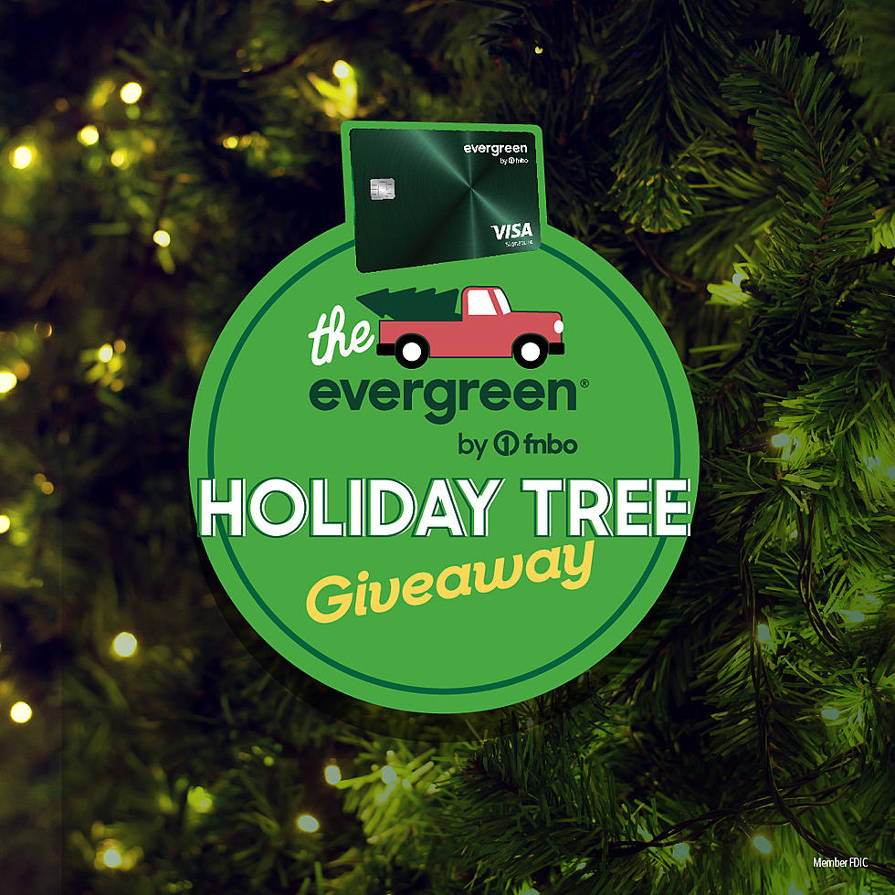 Enter to Win a Christmas Tree Courtesy of FNBO&#8217;s Evergreen Tree Giveaway
