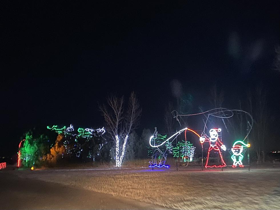 Drive-Thru Winter Wonderland Light Event In Fort Collins Is Back