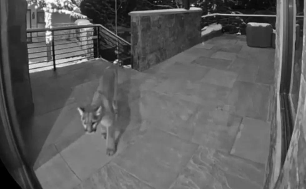 Ring Video