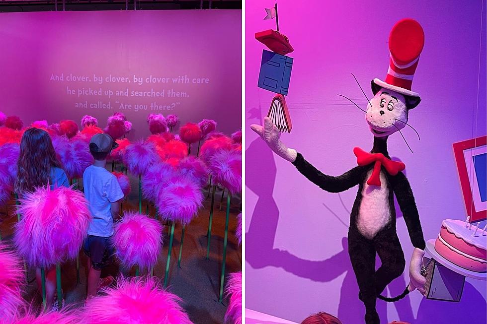 Dr. Seuss Experience Now Open In Colorado. Don&#8217;t Delay, Get On Your Way