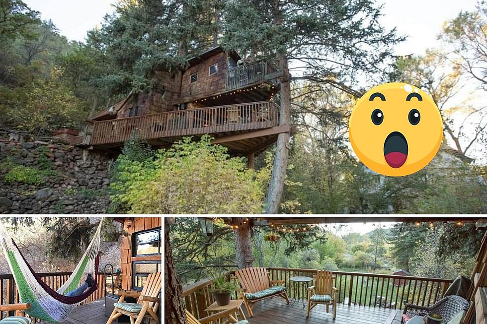 This Colorado Treehouse Airbnb Looks Amazing. Would You Stay Here?