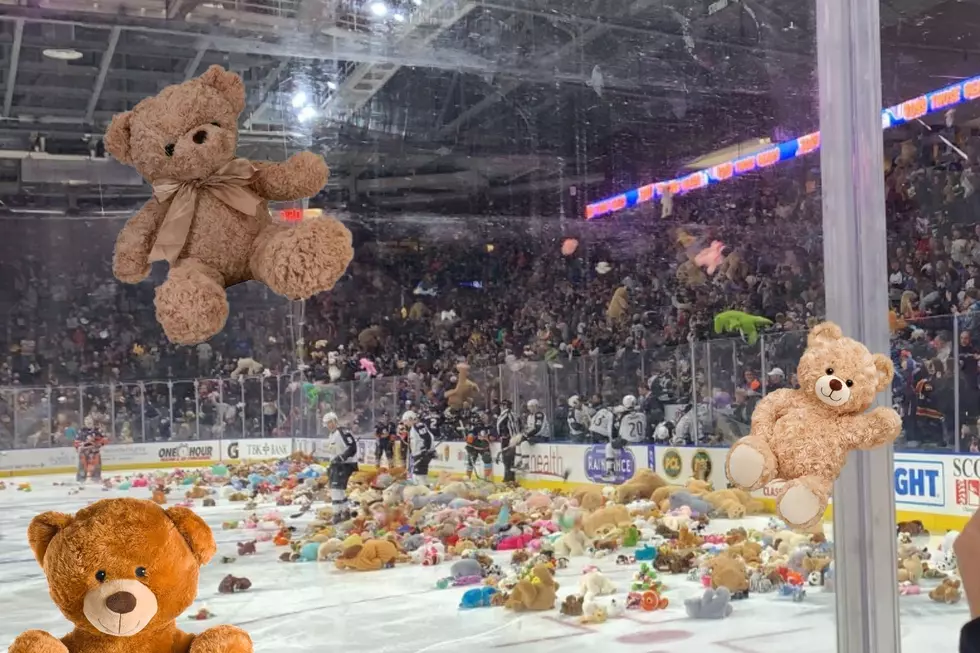 Colorado's Biggest Teddy Bear Toss Is This Saturday. What Is It?