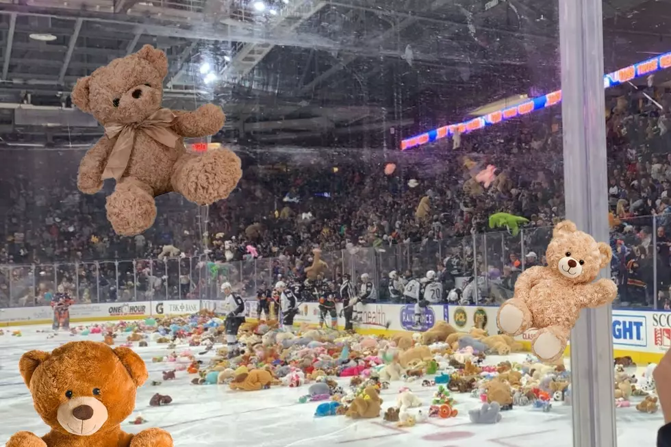 Colorado&#8217;s Biggest Teddy Bear Toss Is This Saturday. What Is It?