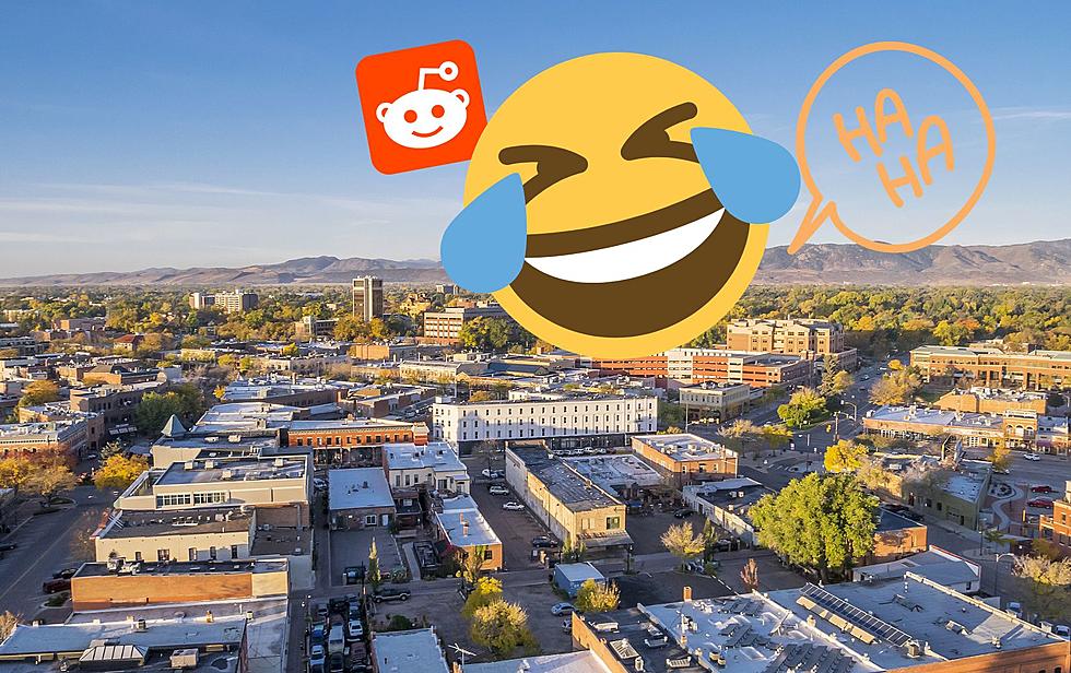 Actual People Give Hilarious Hot Takes on Fort Collins Quirks