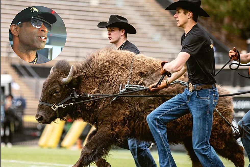 Was CU’s Coach Prime Intimidated While Meeting Ralphie VI? See The Video