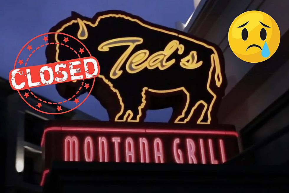 Popular Ted’s Montana Grill In Colorado Now Closed After 20 Years