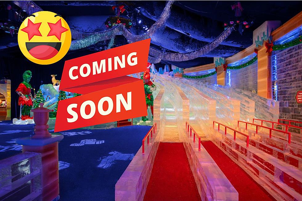 ICE! Is Back At Colorado's Gaylord. The 2023 Theme Revealed Here