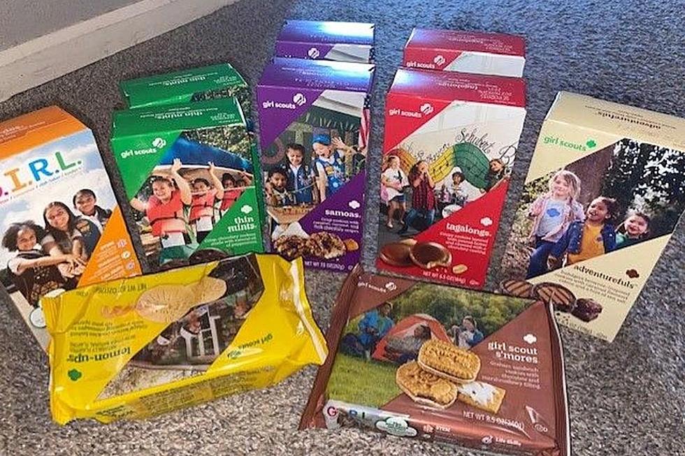 Girl Scout Cookies Are Back In Colorado For 2024