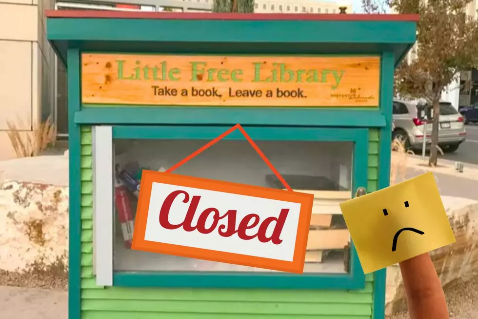 Will Little Free Libraries Be Going Away in Colorado?
