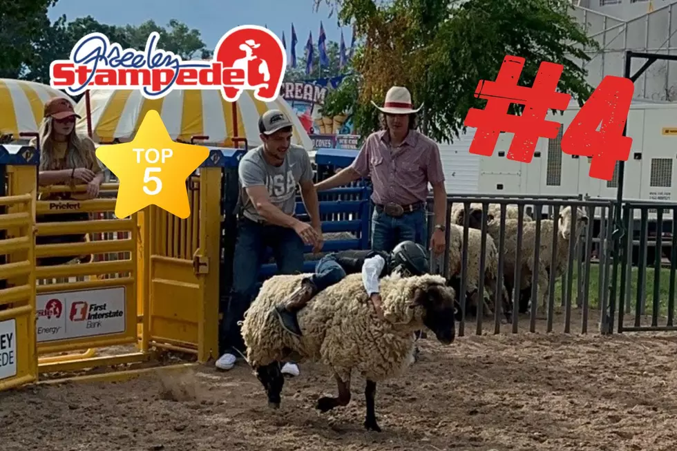 The #4 Best Thing About The Greeley Stampede 2024