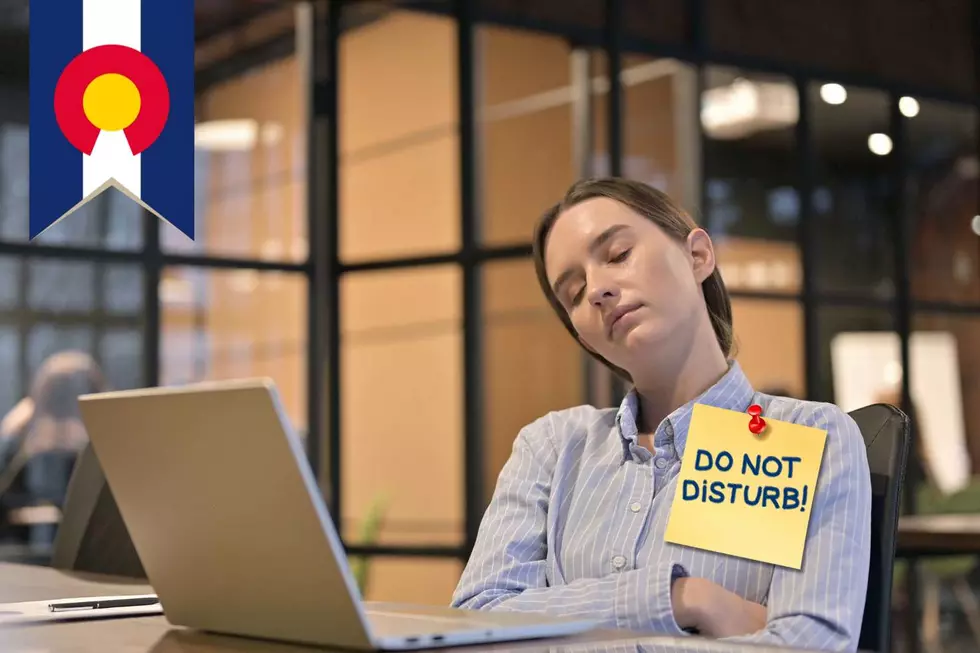 Napping at Work Becoming Popular in Colorado