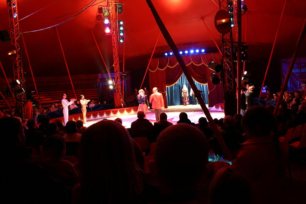 Video Of Circus Accident