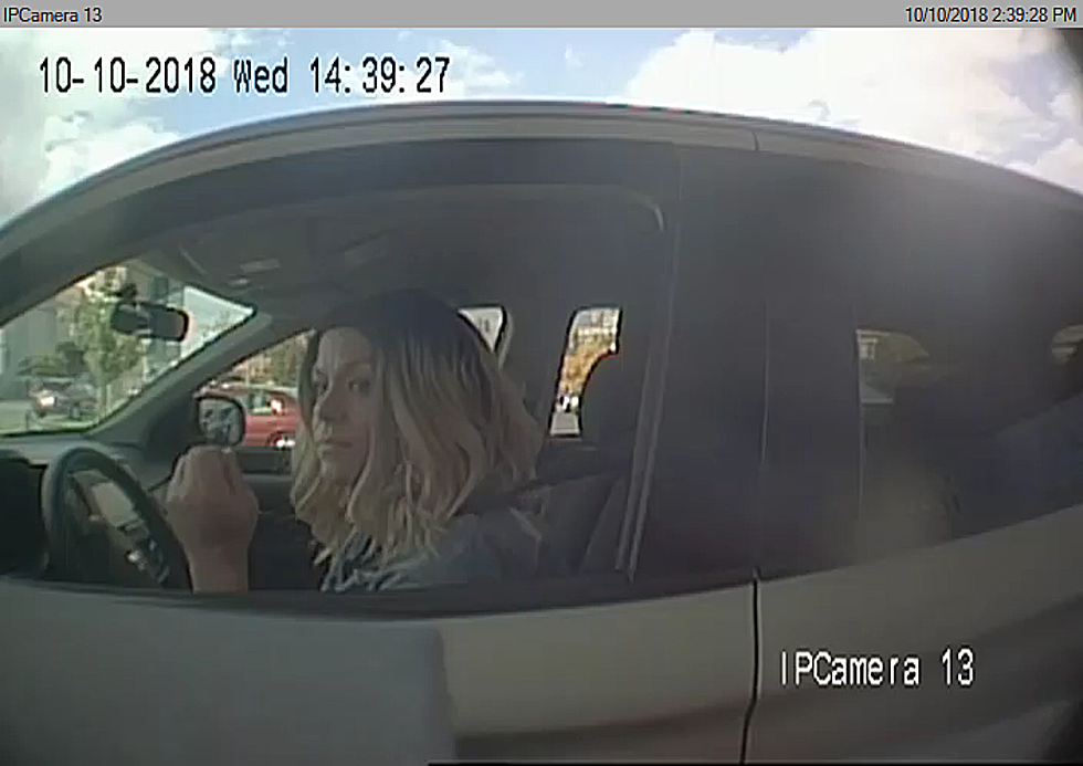 Woman Seen Stealing from Vehicle at Animal Adventure Park