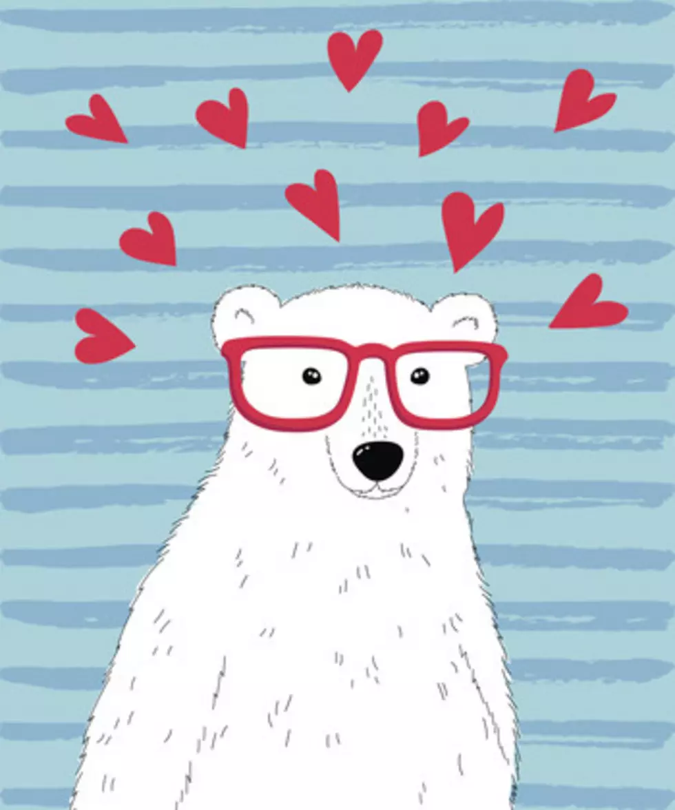 Help The Polar Bears On International Polar Bear Day!
