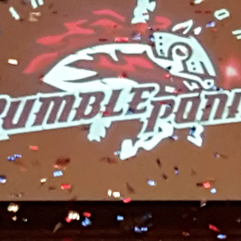 Rumble Ponies Earn Minor League Awards