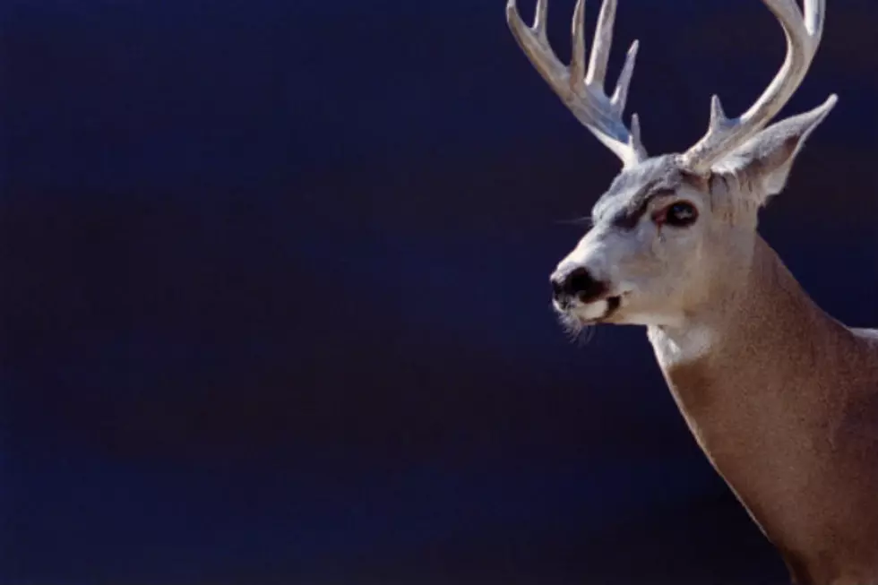 Deer Season Opener Set For November 8th