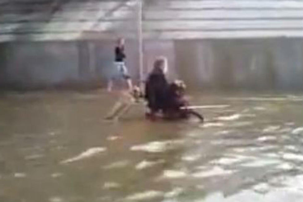 Watch This Dog Push a Man in a Wheelchair Through A Flood