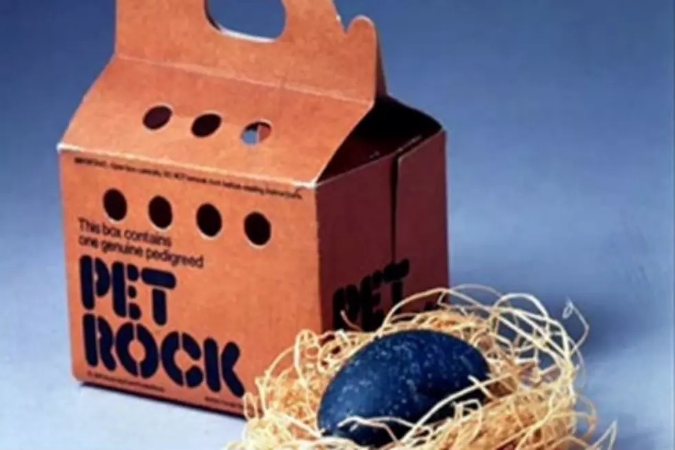 R.I.P. "Pet Rock" Inventor
