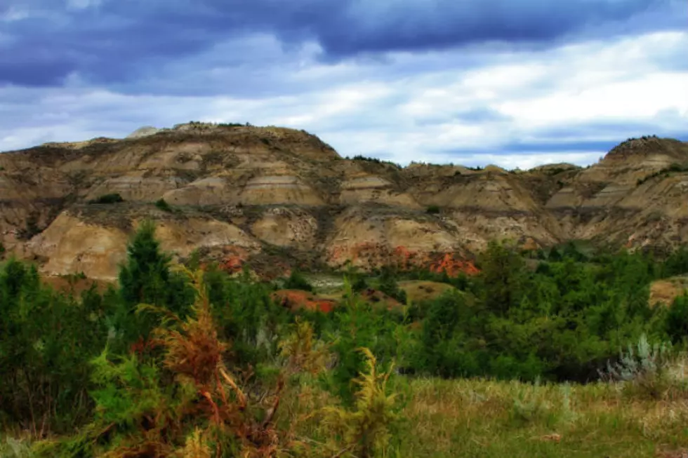 Get Free Entrance Into Theodore Roosevelt National Park on Tuesday, August 25th
