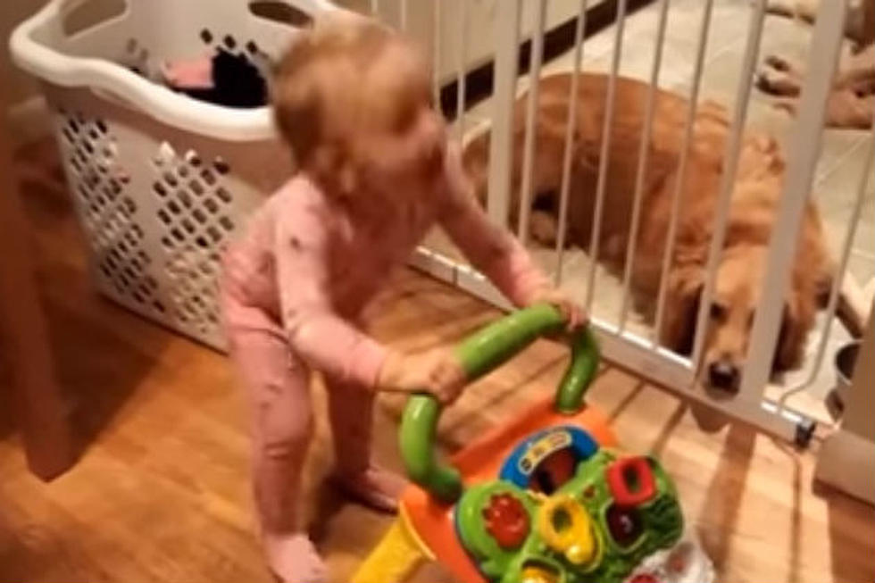 This Baby Rocking out to Queen Proves Parents are Doing it Right [VIDEO]
