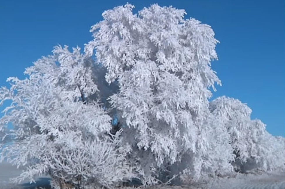 CBS Sunday Morning Shows How Gorgeous Winters in North Dakota Can Be [VIDEO]