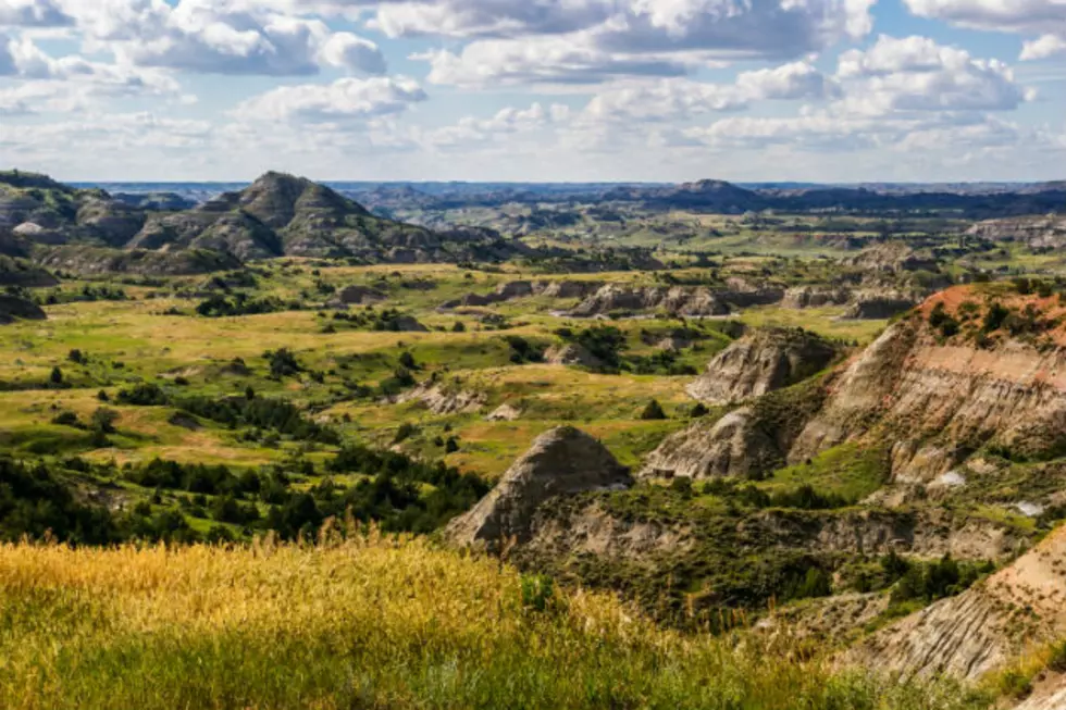 Theodore Roosevelt National Park is the Place to Go in 2016!
