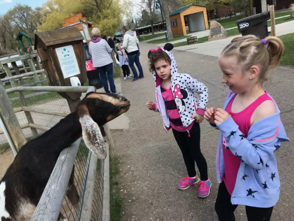 Dakota Zoo Has A Great Schedule of Events Coming up!