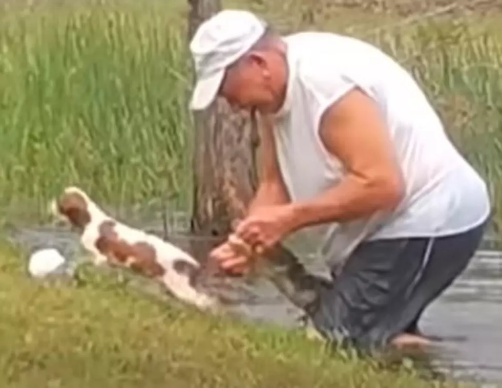 SHOCKING VIDEO : Man Saves Puppy From The Jaws Of Death.