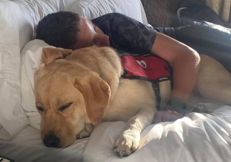 Bismarck Teen Aidan Meets His Service Dog Anakan (VIDEO)