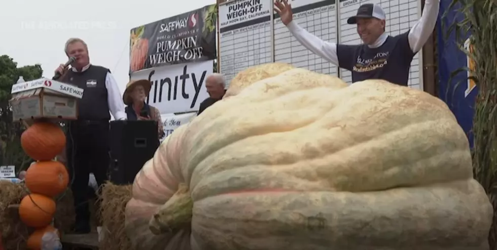 How Many Minnesotans Will It Take To Carve This Pumpkin?