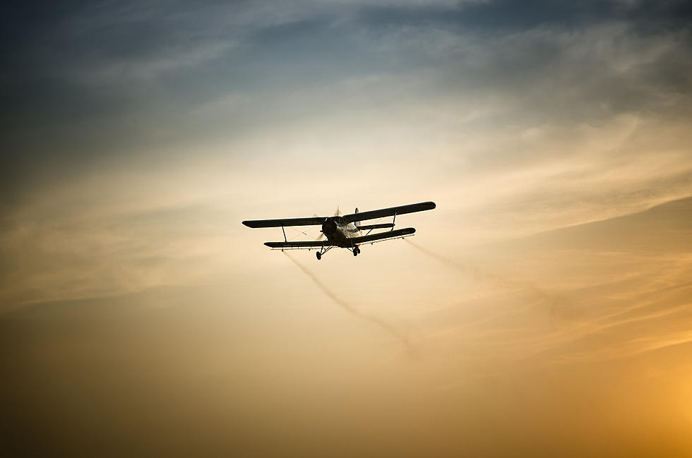 A SERIOUS North Dakota Pest Rattled An Innocent Plane Saturday